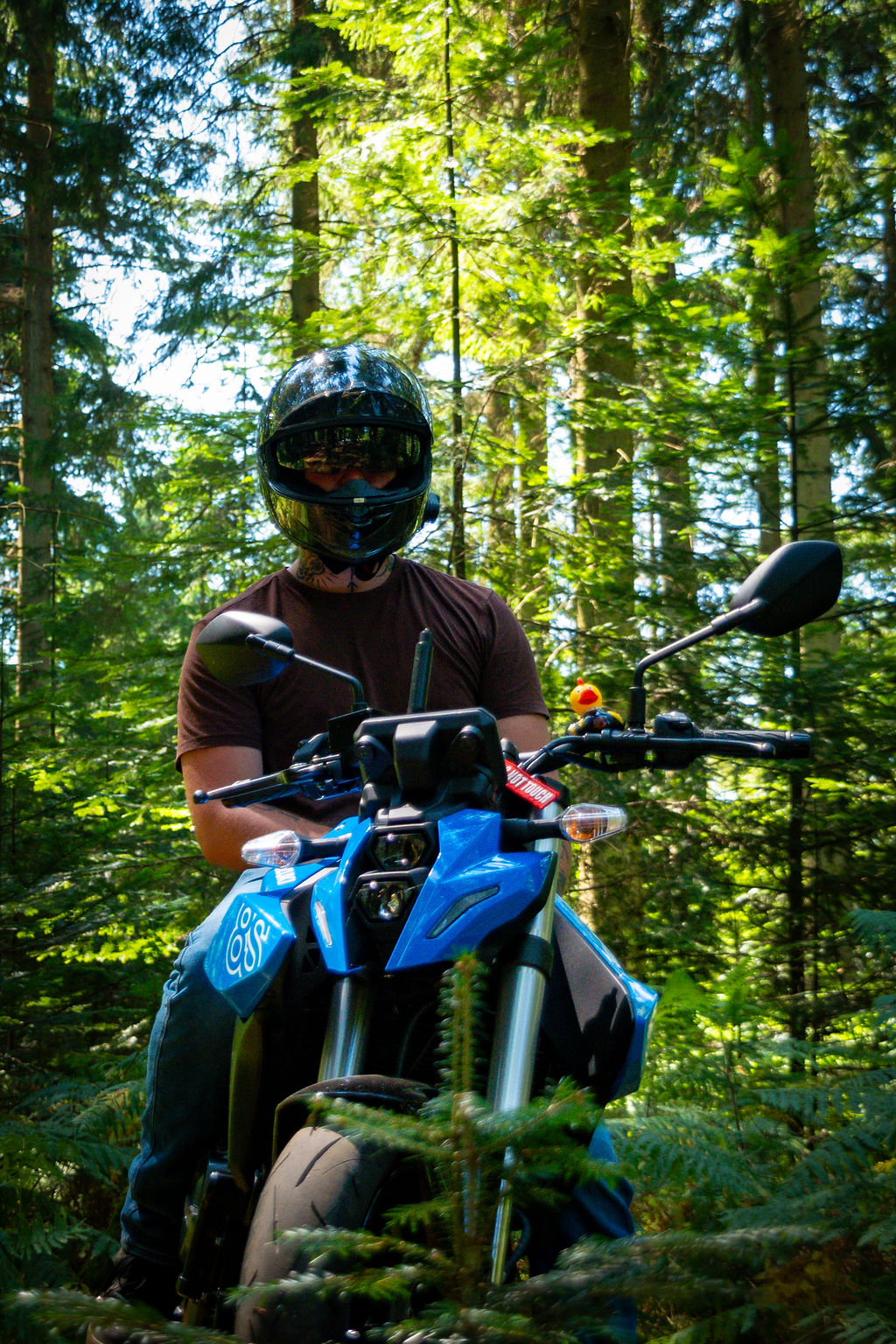 _DSC8883.jpg