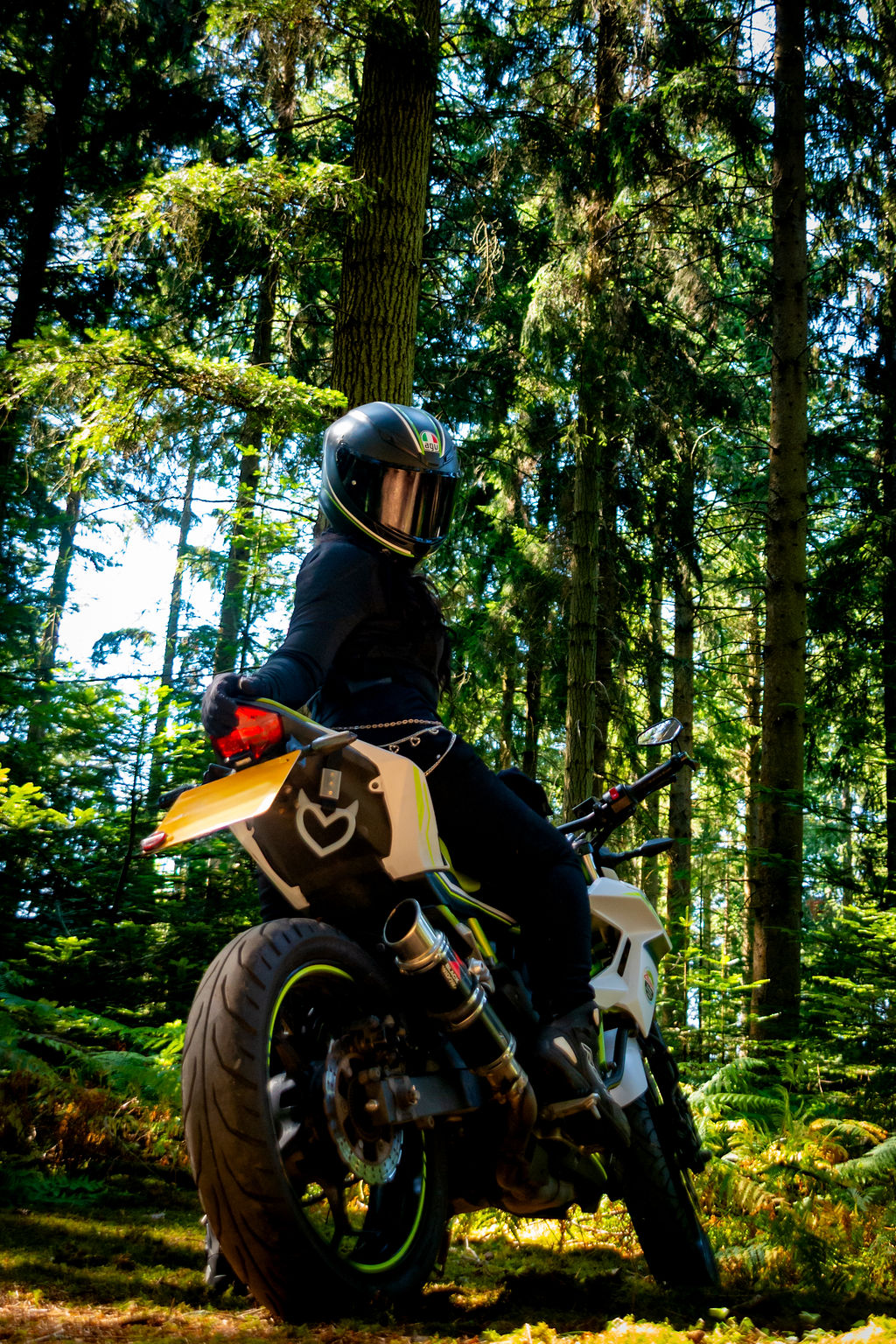 _DSC9172.jpg