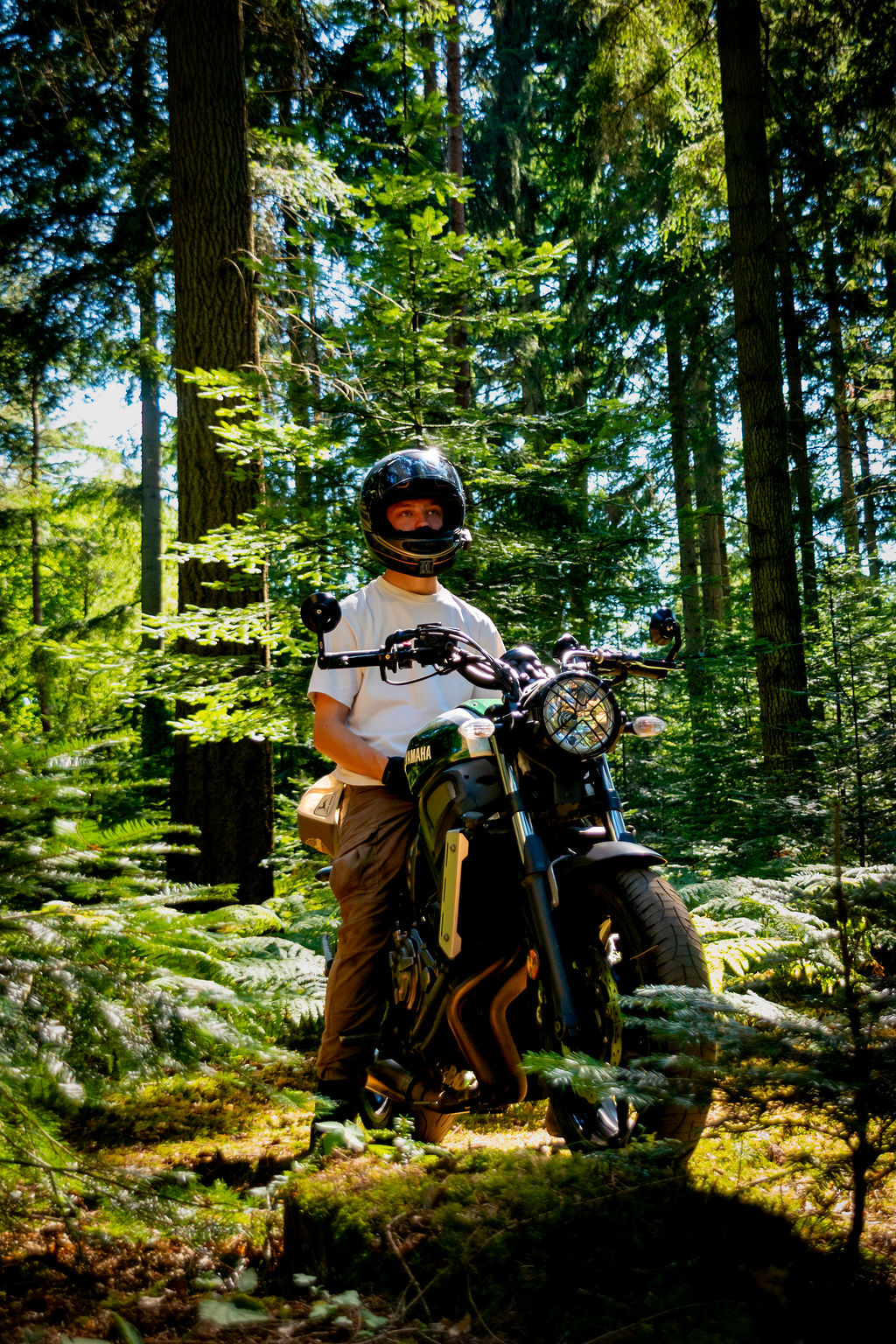 _DSC9119.jpg