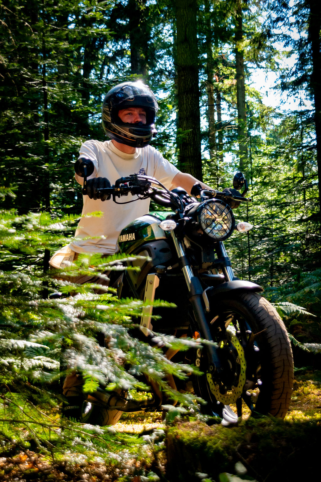 _DSC9125.jpg