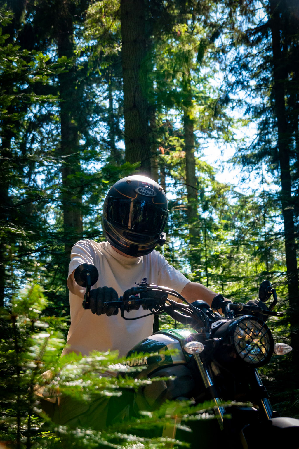 _DSC9127.jpg
