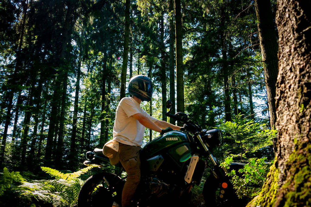 _DSC9131.jpg