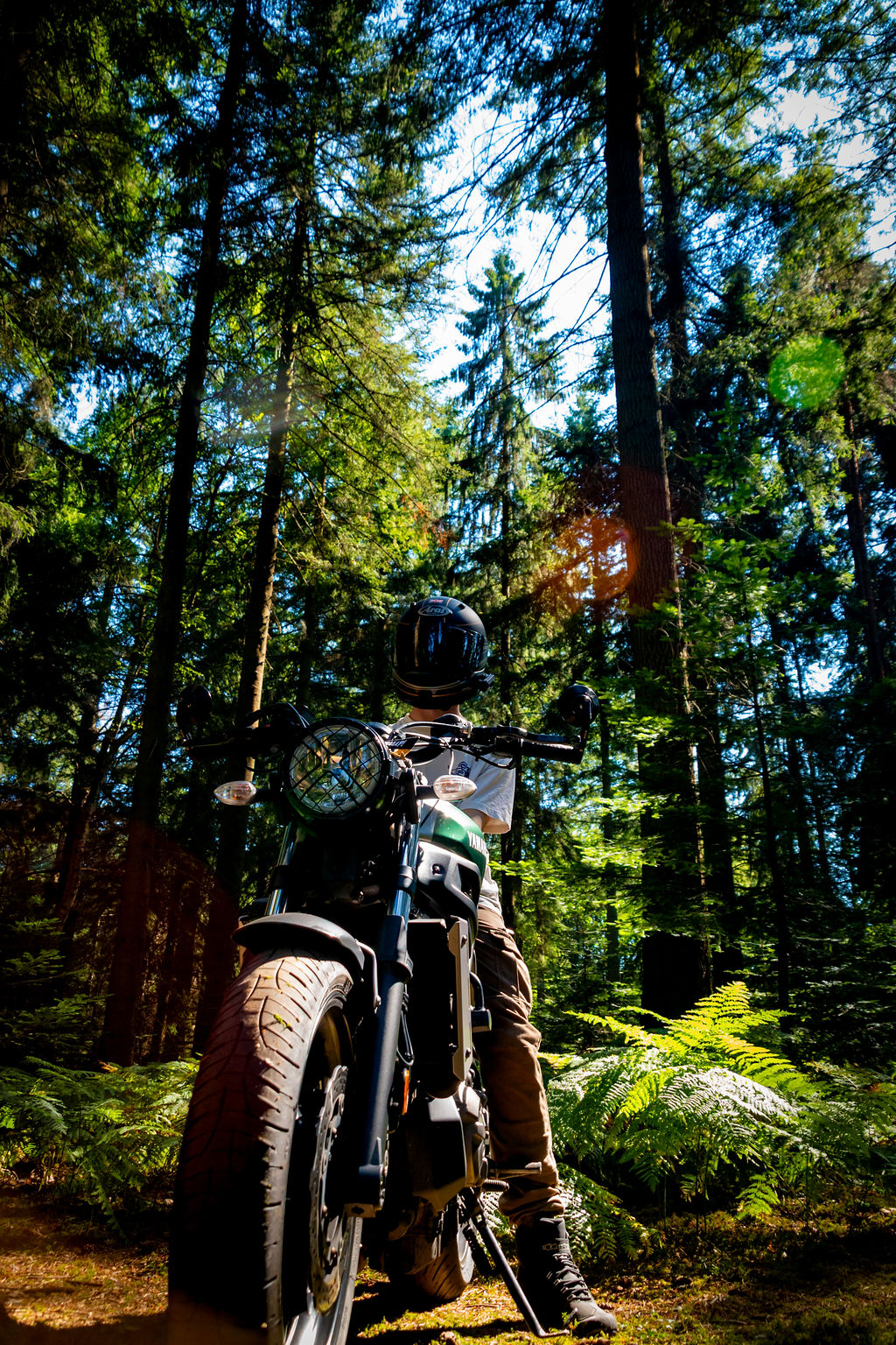 _DSC9135.jpg